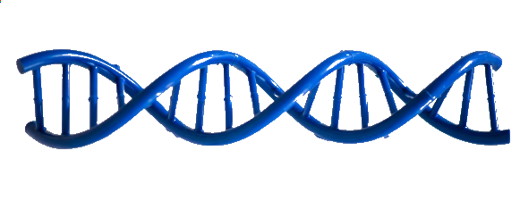 Spartan Therapeutics Logo